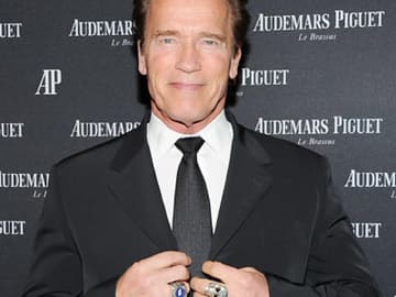 Download Dumme zitate For Free Dumme Zitate